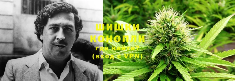 Конопля Bruce Banner  купить   Моршанск 